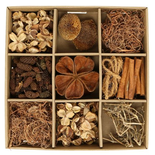 Floristik24 A természet egzotikus keveréke