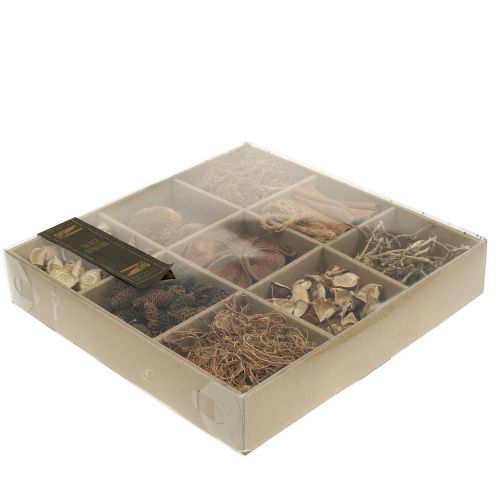 Floristik24 A természet egzotikus keveréke