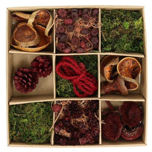 Floristik24 Egzotikus mix kézműves készlet