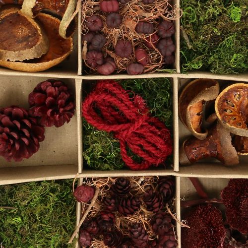 Floristik24 Egzotikus mix kézműves készlet