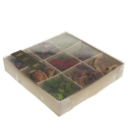 Floristik24 Egzotikus mix kézműves készlet