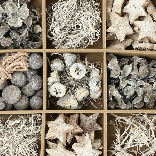 Floristik24 Egzotikus keverék fehérre mosva