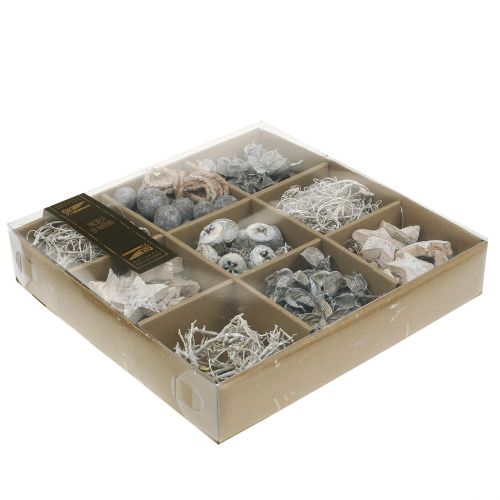 Floristik24 Egzotikus keverék fehérre mosva