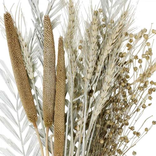 Floristik24 Szárított virágok DIY Box Exotic Dry Bouquet fehér, natúr H55cm