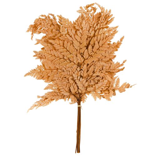 tételeket Narancssárga tartósított páfrány dekoráció 45cm 10 darabos otthoni dekoráció barkácsolás