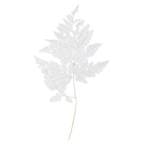 Floristik24 Páfrány dekoráció Valódi páfránylevelek Fehér Tartósított 45cm 10 Db