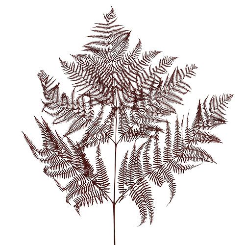 Floristik24 Páfrány színű piros 15 db