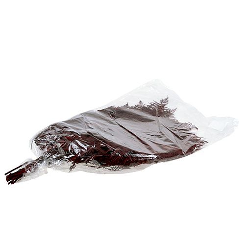 Floristik24 Páfrány színű piros 15 db