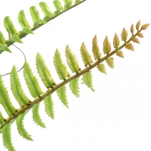 Floristik24 Műpáfrány golyókkal Green Artificial Fern Deco H42cm