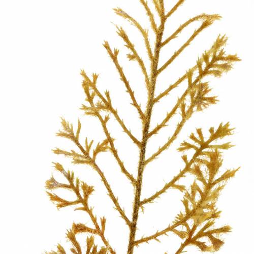 Floristik24 Műpáfrány őszi színek 72cm 4 db