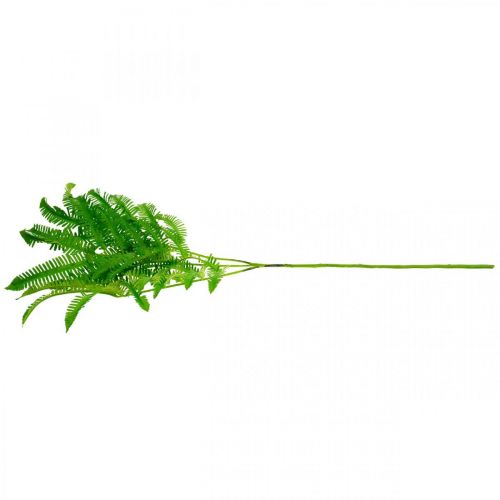 Floristik24 Páfránylevél zöld, Páfrány 3 levél ágon, Tejútfű L96cm
