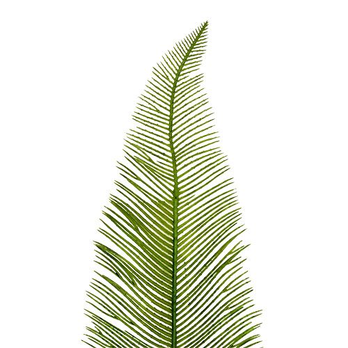 Floristik24 Páfránylevél zöld 59cm 6db