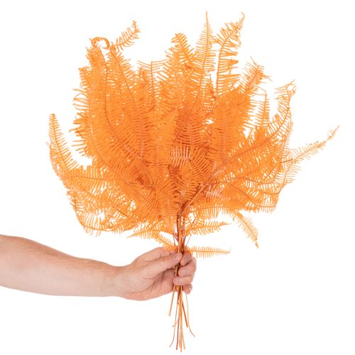 Páfrányág, tartósított páfrány, szárított dísz kompozíciókhoz, 60 cm, 10 darab | Floristik24.hu