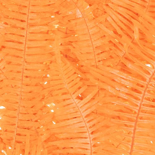 Páfrányág, tartósított páfrány, szárított dísz kompozíciókhoz, 60 cm, 10 darab | Floristik24.hu