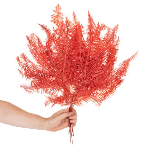 Páfrányok, tartósított szárított virágok, őszi dekoráció, 60 cm, 10 darab | Floristik24.hu