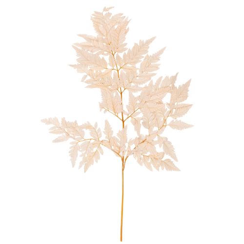Szárított páfrány vázadísz 42cm 10db