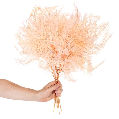 Szárított páfránylevelek, páfránydísz vázákba, 60 cm, 10 darab | Floristik24.hu