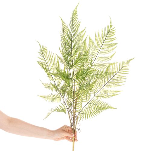 Műpáfrányág, dekoratív zöld növény virágkötészethez, 80cm | Floristik24.hu