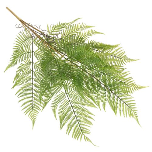 Műpáfrányág, dekoratív zöld növény virágkötészethez, 80cm | Floristik24.hu