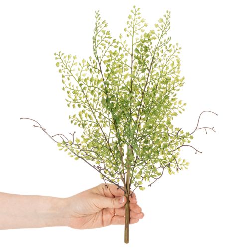 Műzöld ruscus ág virágdíszítéshez, 41cm | Floristik24.hu