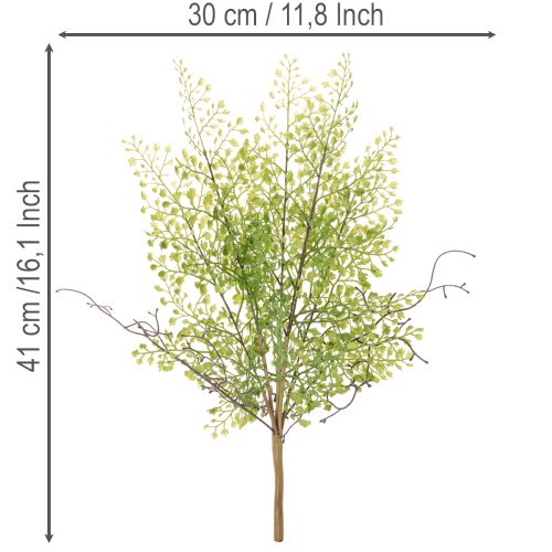 Műzöld ruscus ág virágdíszítéshez, 41cm | Floristik24.hu