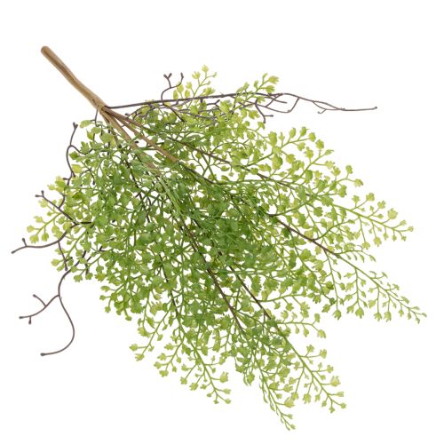 Műzöld ruscus ág virágdíszítéshez, 41cm | Floristik24.hu