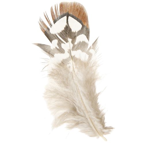 tételeket Kézműves fácántoll, barna foltos, 4-9 cm, 60 db