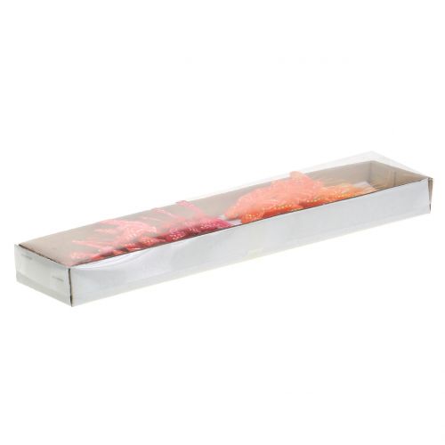 Floristik24 Toll pillangó narancs-piros 5cm 24db