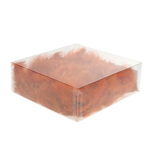 Floristik24 Toll rövid sötétnarancs 30g