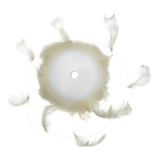 Floristik24 Toll dróton krém 10m