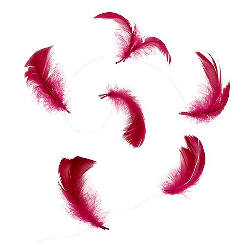 Floristik24 Rugó dróton Erika 10m