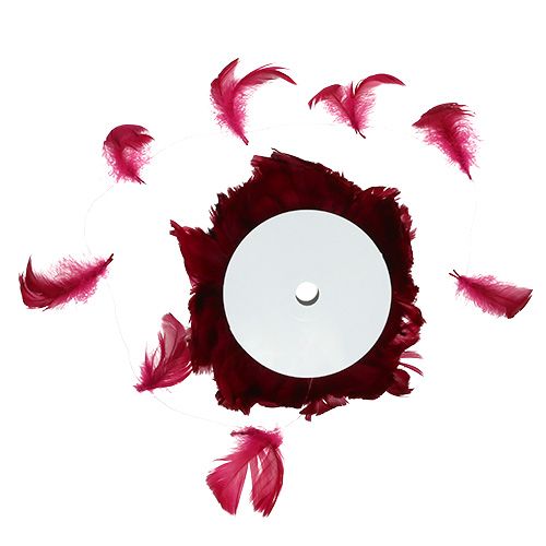 Floristik24 Rugó dróton Erika 10m