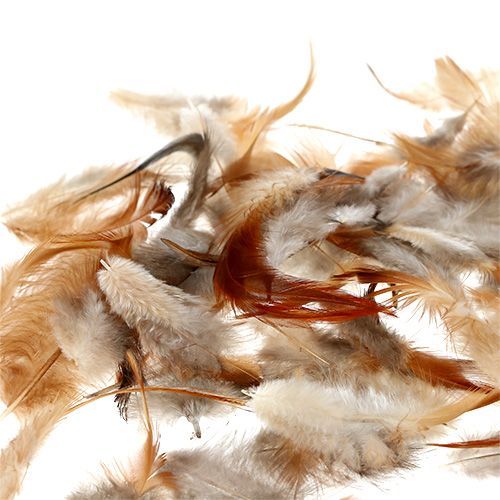 Floristik24 Tollfajta. 5-15cm természet 228db