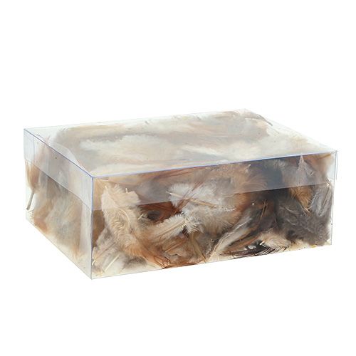 Floristik24 Tollfajta. 5-15cm természet 228db