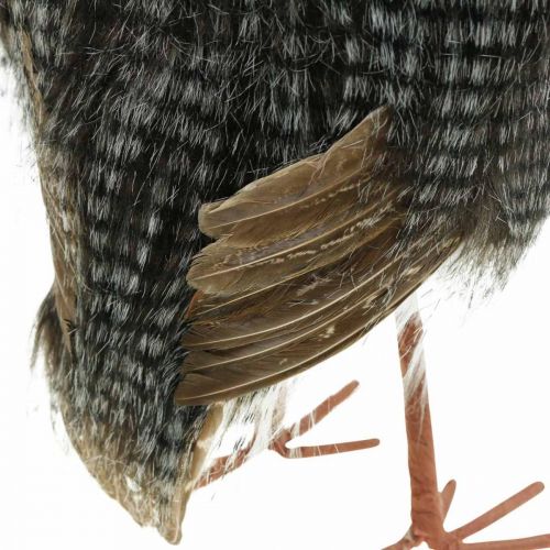 Floristik24 Erdei bagoly, téli dekoráció, díszbagoly, őszi H41cm