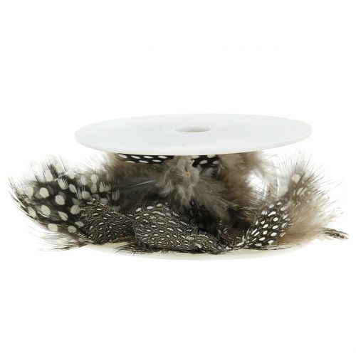 Tollfüzér barna 5m