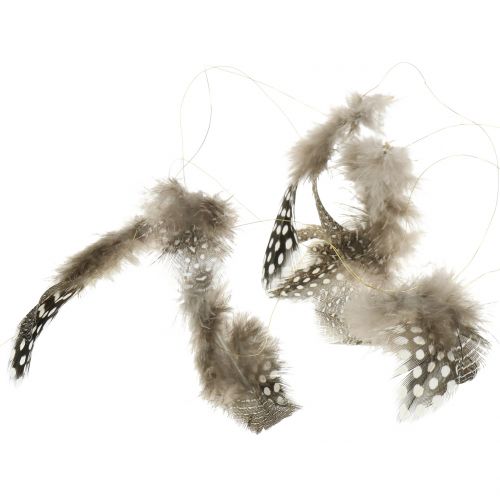 Floristik24 Tollfüzér barna 5m