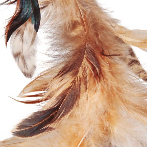 tételeket Toll koszorú világosbarna dekoratív koszorú tollból Ø20cm 3 db