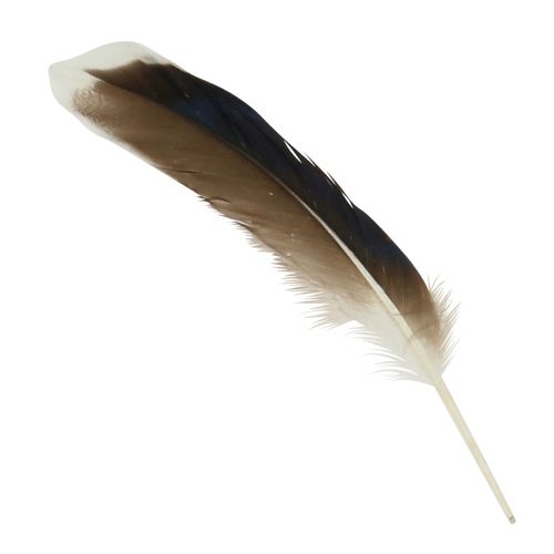 Floristik24 Természetes rugók 150db