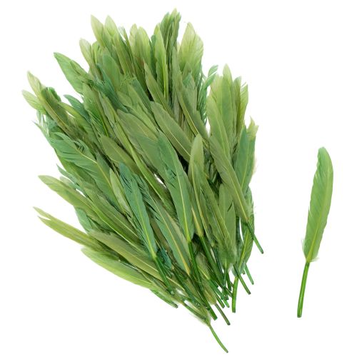 Floristik24 Dekoratív tollak stílusos hangulathoz és lenyűgöző dekorációhoz 10 cm