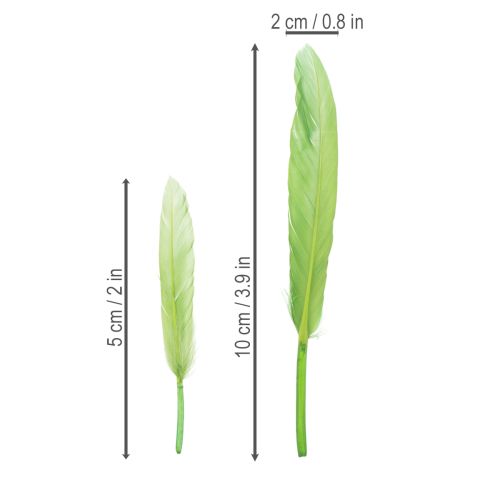 tételeket Dekoratív tollak stílusos hangulathoz és lenyűgöző dekorációhoz 10 cm