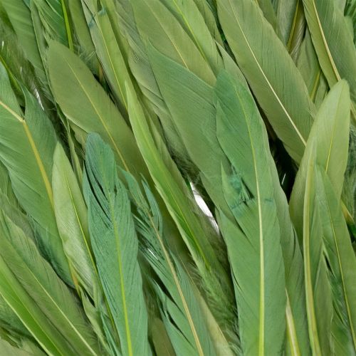 tételeket Dekoratív tollak stílusos hangulathoz és lenyűgöző dekorációhoz 10 cm