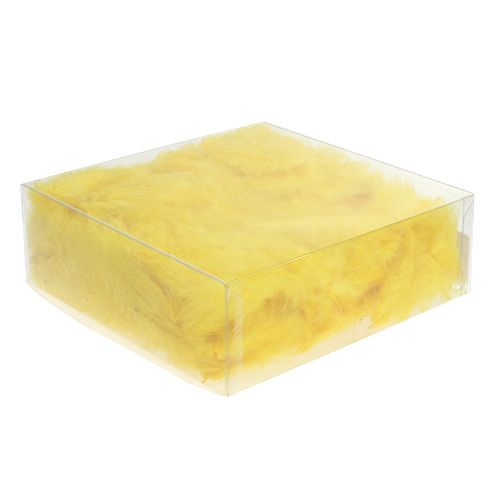 Floristik24 Rövid toll 30g aranysárga