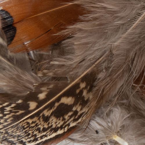 tételeket Tollak sokoldalú kézműves ötletekhez, kreatív tervezési és dekorációs ötletekhez, 5 cm, 3 g