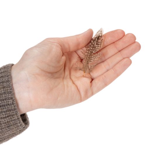 tételeket Tollak sokoldalú kézműves ötletekhez, kreatív tervezési és dekorációs ötletekhez, 5 cm, 3 g