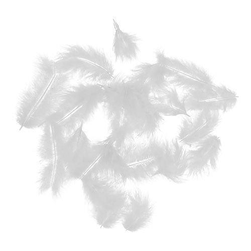 Floristik24 Toll rövid 30g fehér