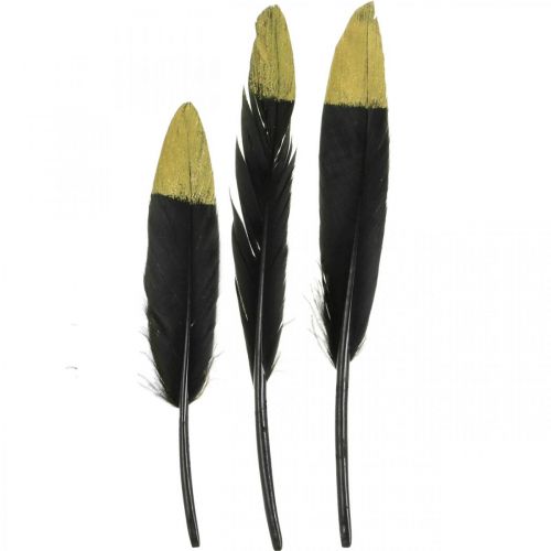 tételeket Dekoratív toll fekete, arany valódi kézműves toll 12-14cm 72db