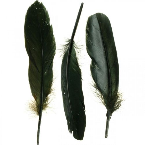 Deco toll fekete madártoll craftoláshoz 14-17cm 20g