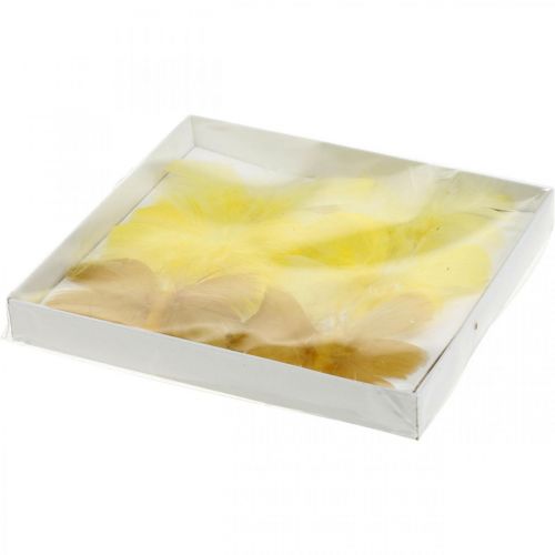 Floristik24 Deco pillangók dróton, rugós dekoráció, tavaszi pillangók sárga árnyalatokban 6db