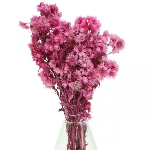 tételeket Mini Szalmavirág Pink Szárított Virág Sziklavirág H20cm 15g